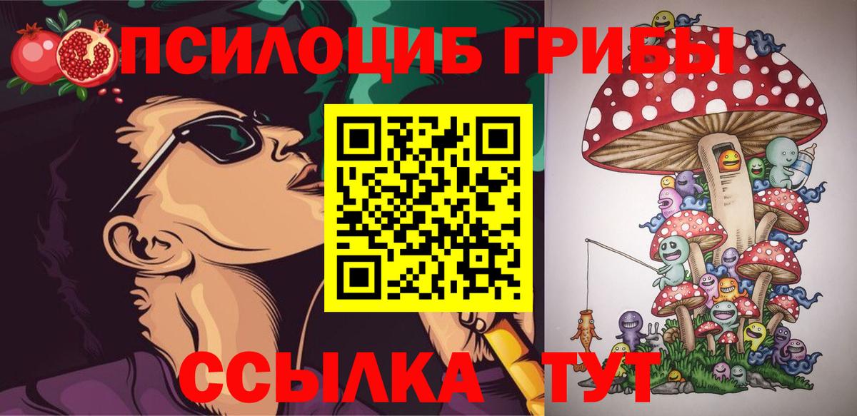 Псилоцибиновые грибы MAGIC MUSHROOMS  Вход с VPN  Касимов 