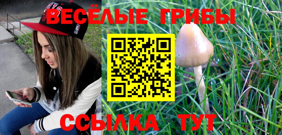 Галлюциногенные грибы Psilocybine cubensis Касимов